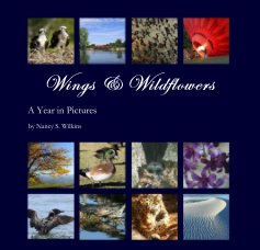 Wings & Wildflowers book cover