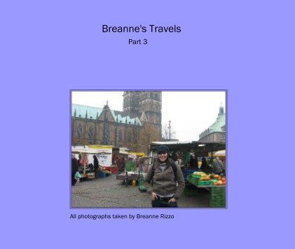Breanne's Travels Part 3 book cover