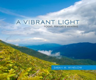 A Vibrant Light book cover