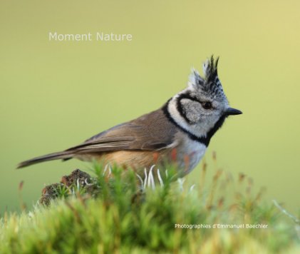 Moment Nature book cover