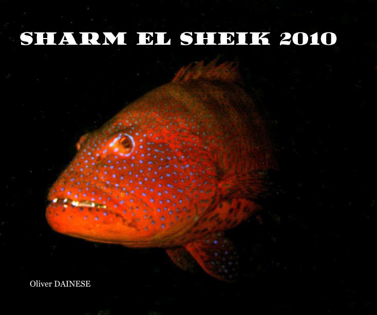 Bekijk SHARM EL SHEIK 2010 op Oliver DAINESE