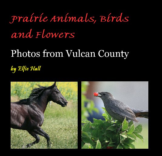 View Prairie Animals, Birds      and Flowers by Elfie Hall