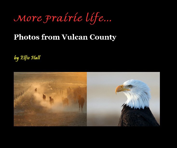 View More Prairie life... by Elfie Hall