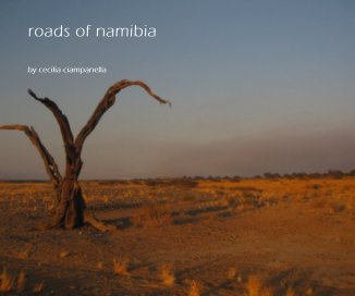 roads of namibia book cover