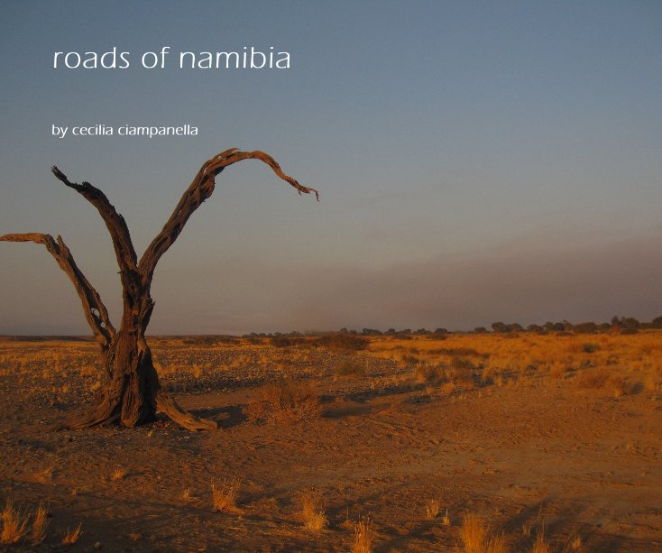 View roads of namibia by cecilia ciampanella