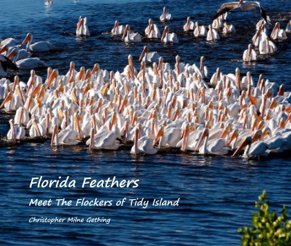 Florida Feathers Meet The Flockers of Tidy Island book cover