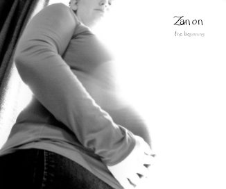 Zanon book cover