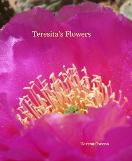 Teresita's Flowers book cover