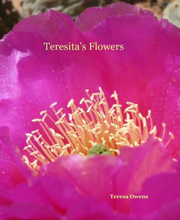 View Teresita's Flowers by Teresa Owens