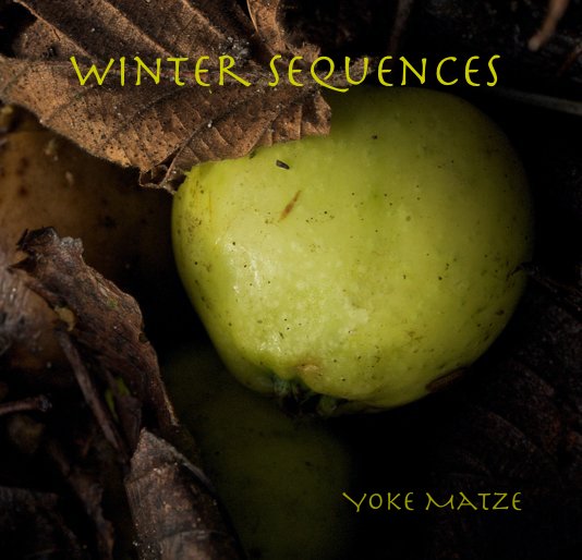 View Winter Sequences by Yoke Matze