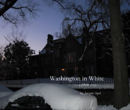 Washington in White book cover