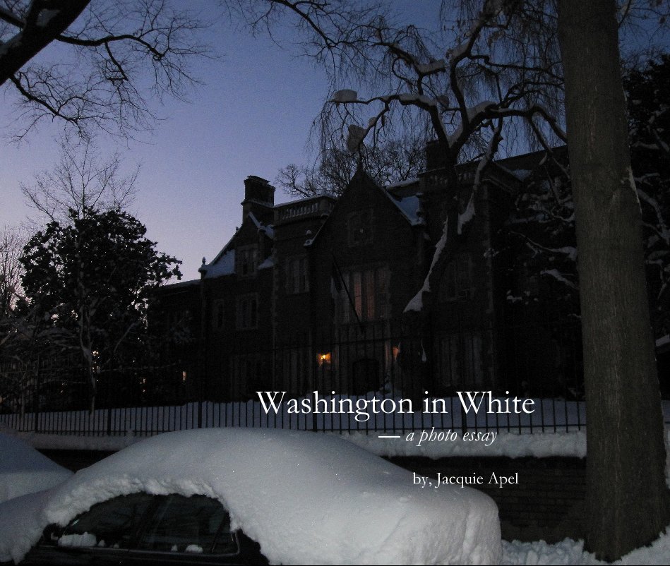 View Washington in White by Jacquie Apel