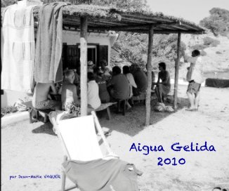 Aigua Gelida 2010 book cover