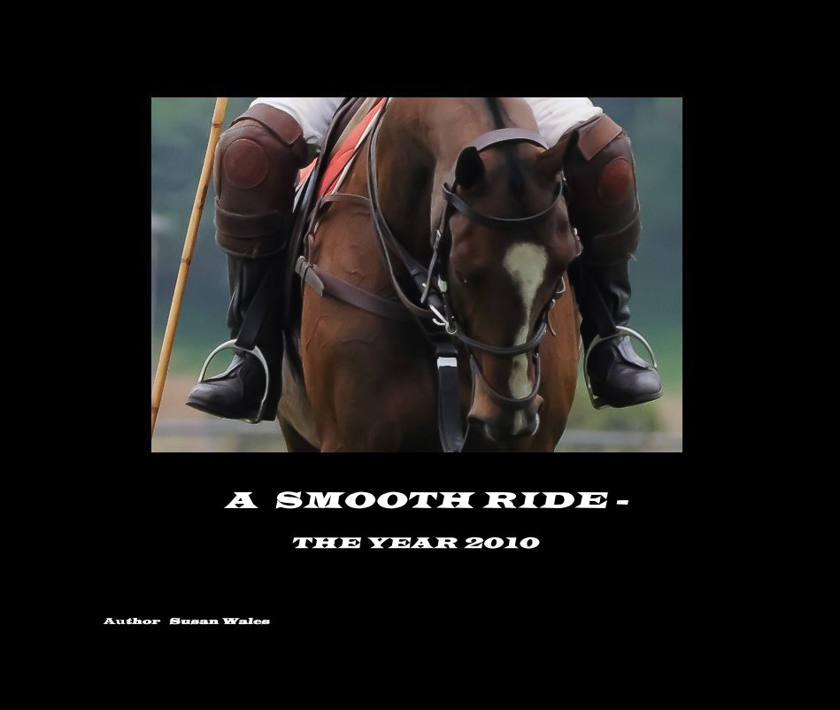 Bekijk A SMOOTH RIDE - THE YEAR 2010 op Author Susan Wales