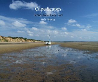 Cape Scapes book cover