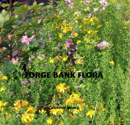 View FORGE BANK FLORA by Catriona Stamp