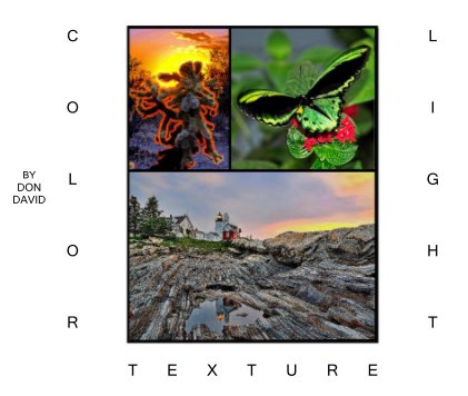 Light, Color, and Texture book cover