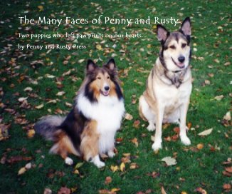 The Many Faces of Penny and Rusty book cover