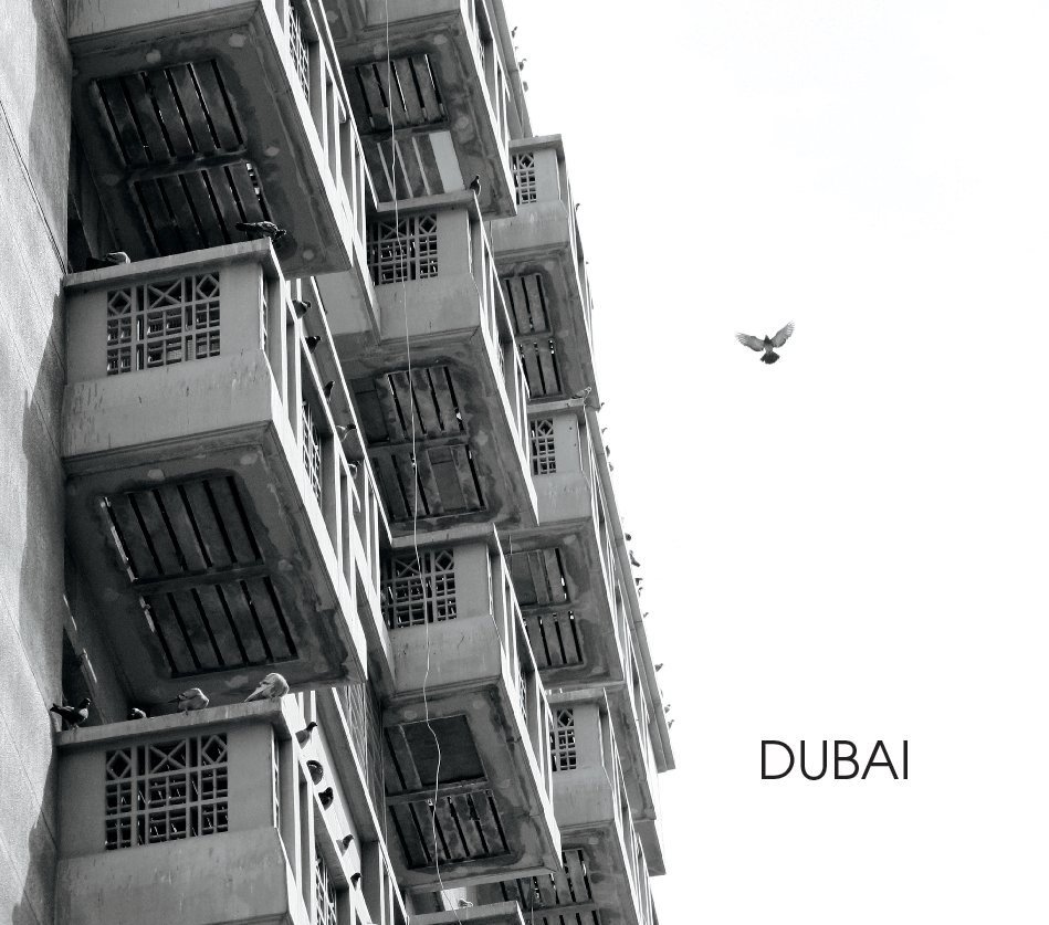 View DUBAI by Sarah van Wijck