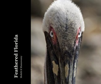 Feathered Florida book cover