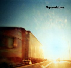 Disposable Lives book cover