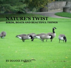 NATURE'S TWIST book cover