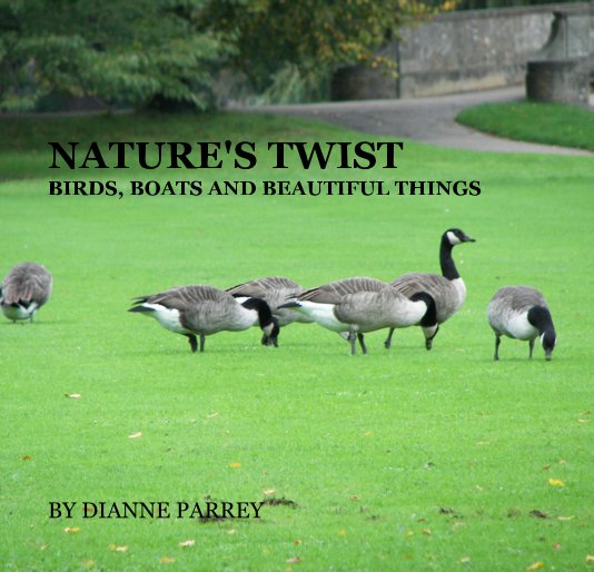 Ver NATURE'S TWIST por DIANNE PARREY