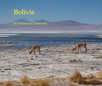Bolivie book cover