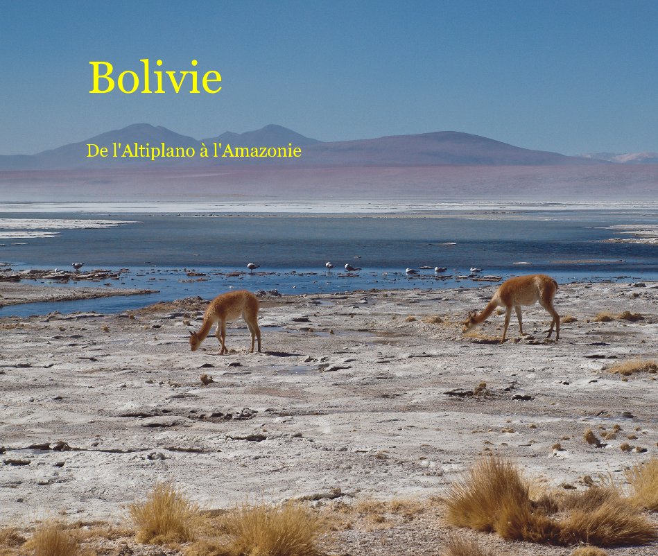 View Bolivie by De l'Altiplano à l'Amazonie