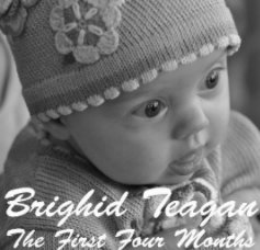 Brighid2010_The Photos book cover
