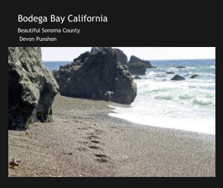 Bodega Bay California book cover