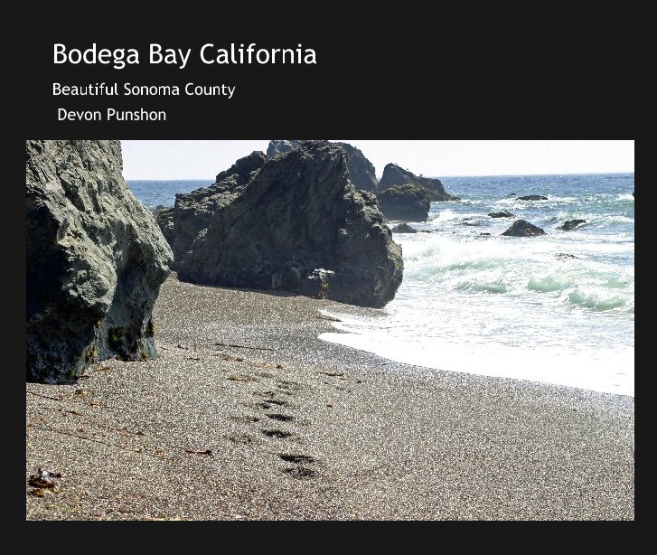 View Bodega Bay California by Devon Punshon
