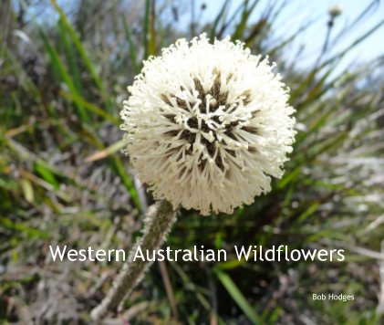 Western Australian Wildflowers book cover