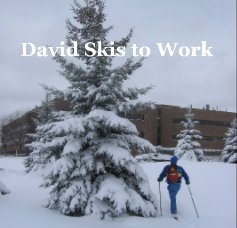 David Skis to Work book cover