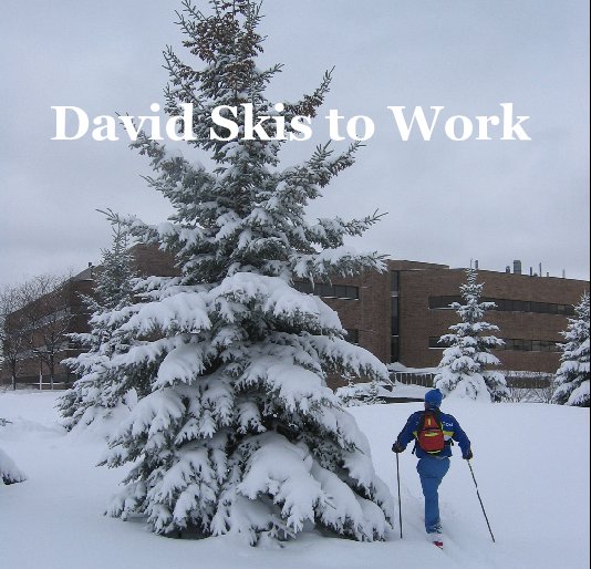 View David Skis to Work by dave.nelson
