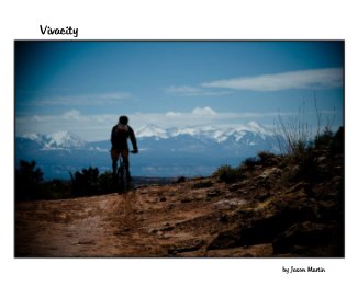 Vivacity book cover