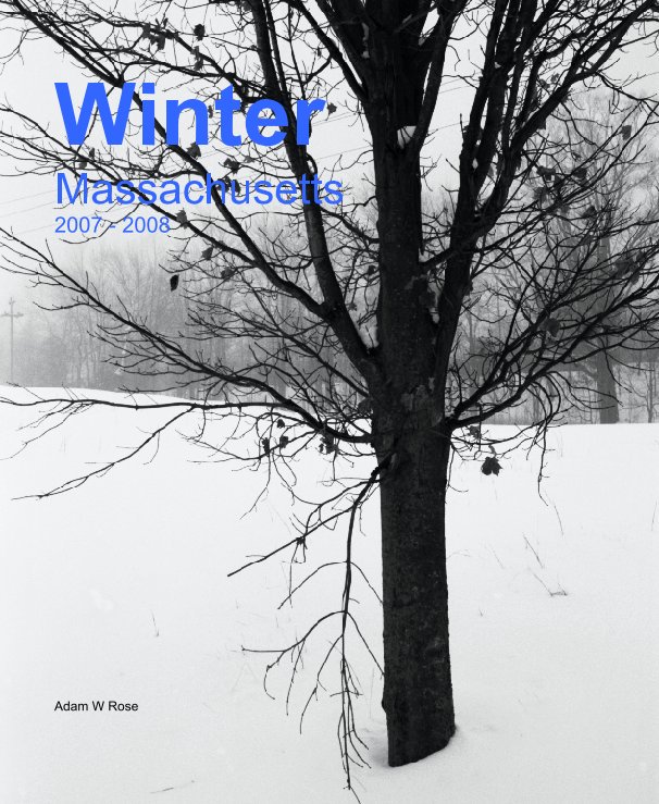 View Winter
Massachusetts
2007 - 2008 by Adam W Rose