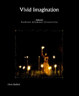 Vivid Imagination book cover