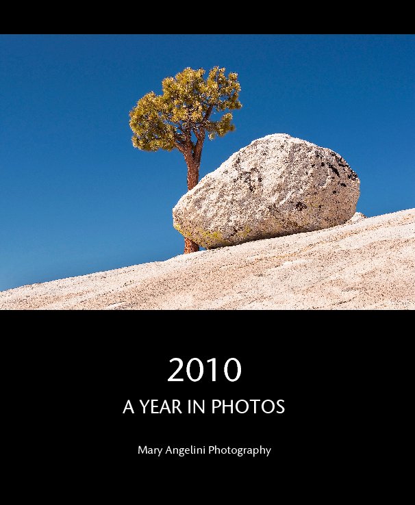 Ver 2010
A YEAR IN PHOTOS por Mary Angelini Photography