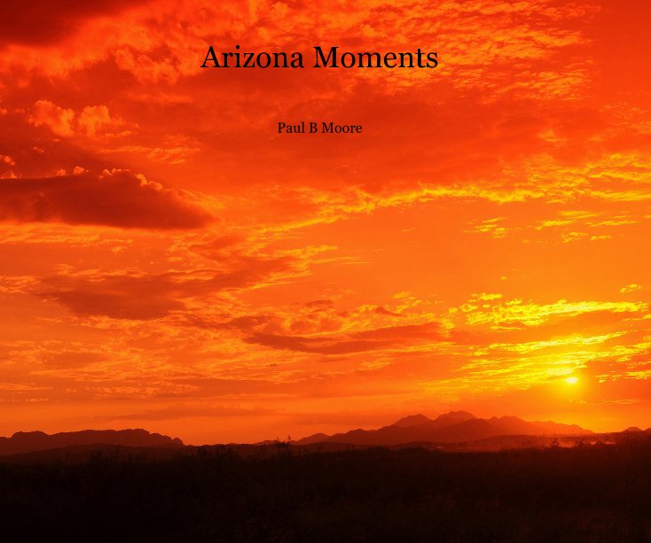 View Arizona Moments by Paul B Moore