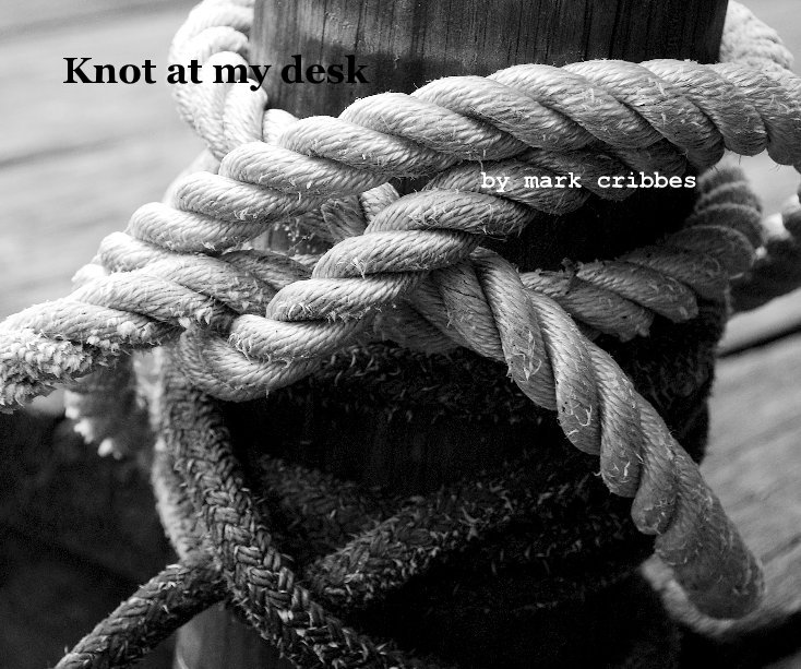 View Knot at my desk by mark cribbes