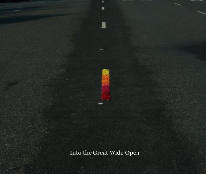 Into the Great Wide Open (large) book cover