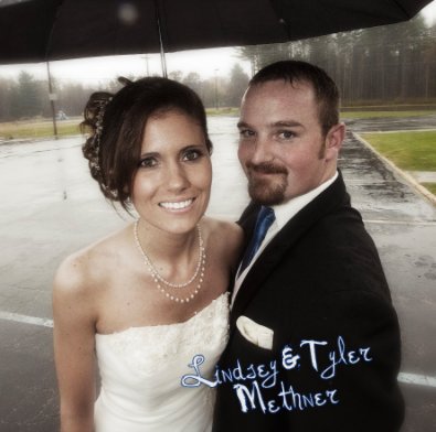 The Methner Wedding book cover