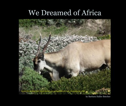We Dreamed of Africa book cover
