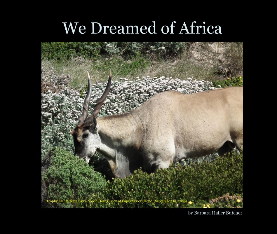 View We Dreamed of Africa by Barbara Haller Butcher