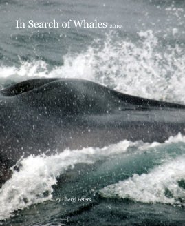 In Search of Whales 2010 book cover