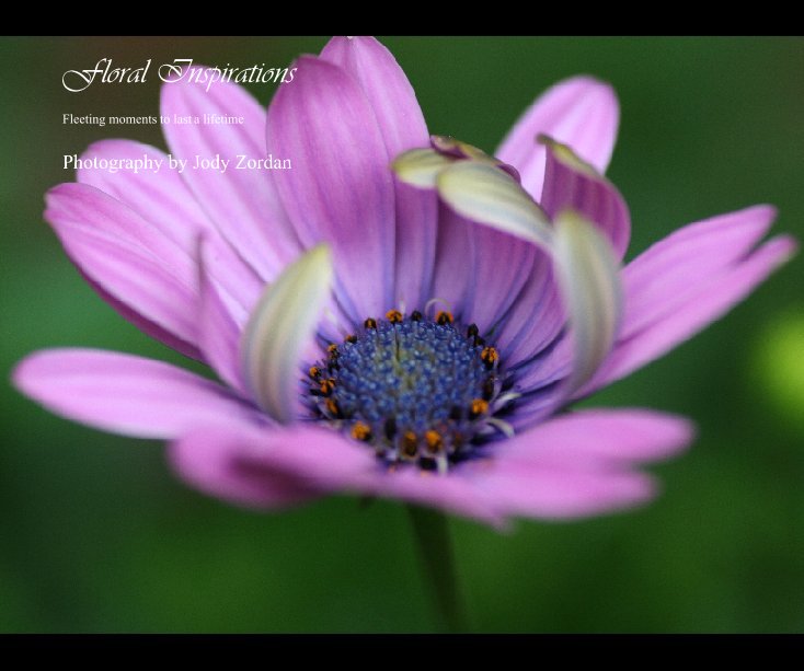Bekijk Floral Inspirations op Photography by Jody Zordan