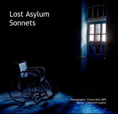 Lost Asylum Sonnets book cover