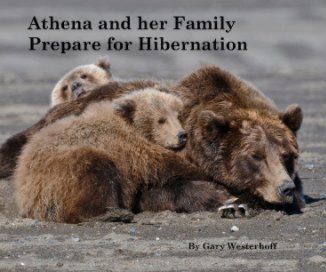 Athena book cover