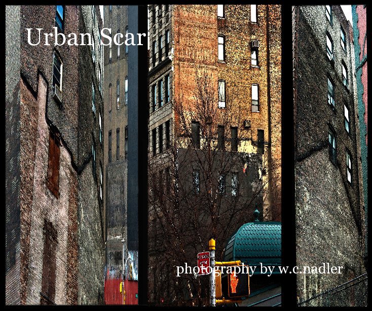 Ver Urban Scar photography por w.c.nadler